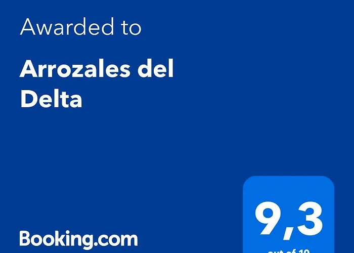 Arrozales Del Delta